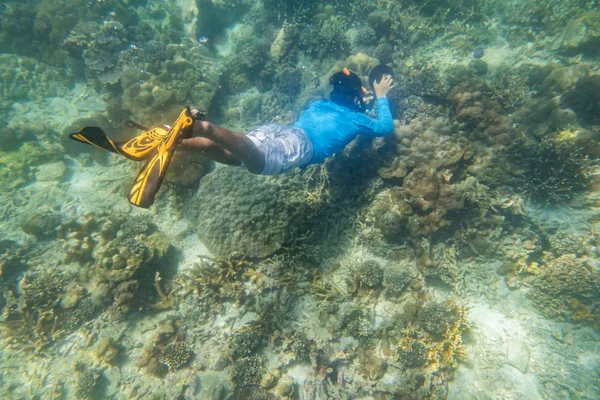 Дайвер Який Пірнає Тропічних Риф Чистою Блакитною Водою Риф Риба — стокове фото