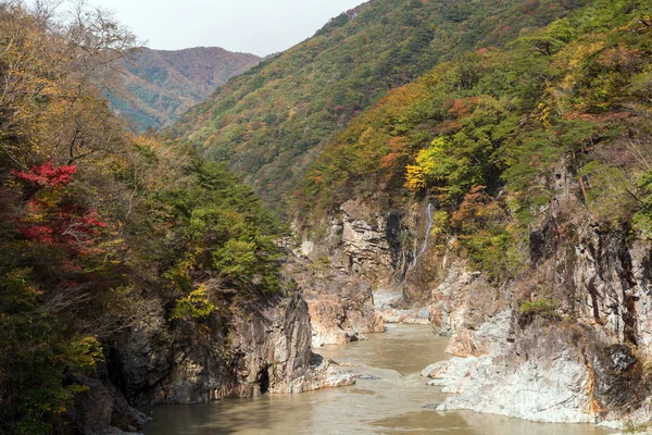 Ryuyo Gorge Canyon Parco Nazionale Area Ricreativa Nikko Tochigi Giappone — Foto Stock