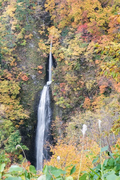 Водопад Цумидзикура Таки Осенью Фукусиме Япония — стоковое фото
