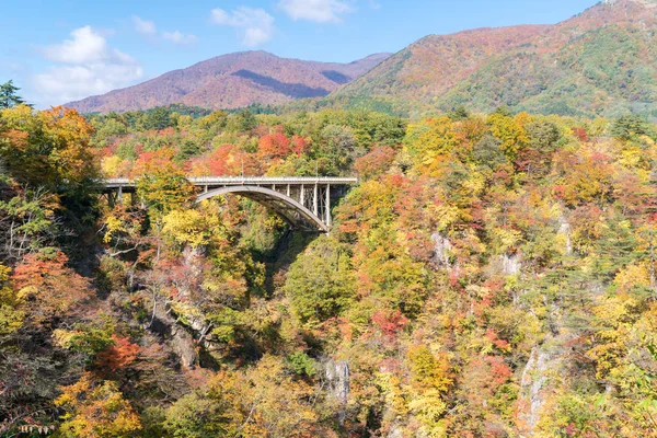 Tüneli Miyagi Tohoku Japonya Değil Gorge Vadisi — Stok fotoğraf