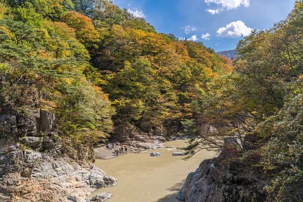 Ryuyo Gorge Canyon Parco Nazionale Del Giappone — Foto Stock