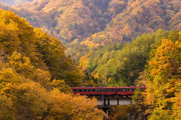 Feuillage Automnal Avec Banlieue Train Rouge Fukushima Japon — Photo