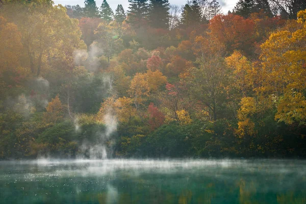 Autumn Forest Lake Jigoku Numa Hakkoda Aomori Japan — Stock Photo, Image