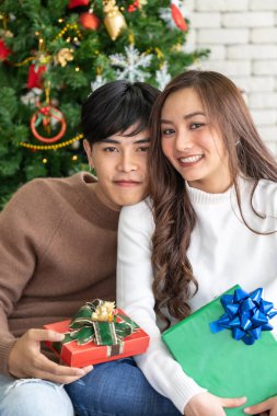 Noel festivali bayramını kutlamak için elinde hediye paketi olan çiftin portresi oturma odasında Noel süslemeleri ile duruyor.