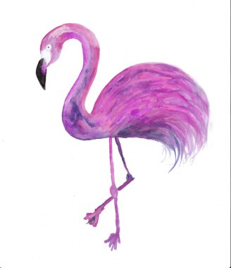 Güzel bir suluboya flamingo