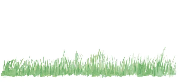 Vector grass illustration — Stock Vector