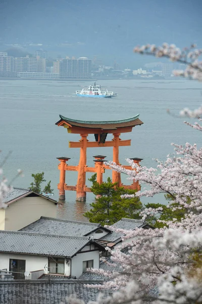 El miyajima sakura —  Fotos de Stock