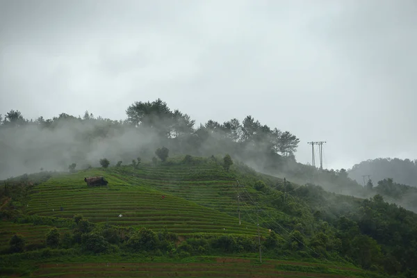 Vietnam niebla matutina — Foto de Stock