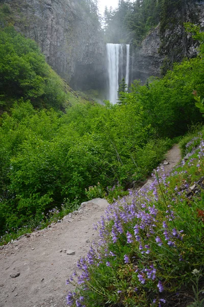 Oregon Tamanawas cascade — Photo