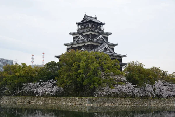 Hiroshima sakura — Zdjęcie stockowe