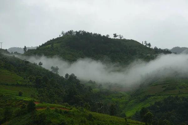 Vietnam niebla matutina — Foto de Stock