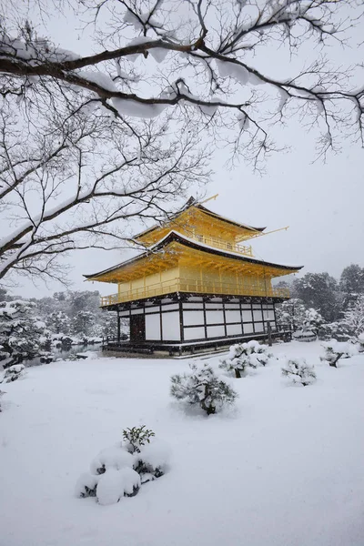 Kyoto Gyllene Templet Med Snö — Stockfoto