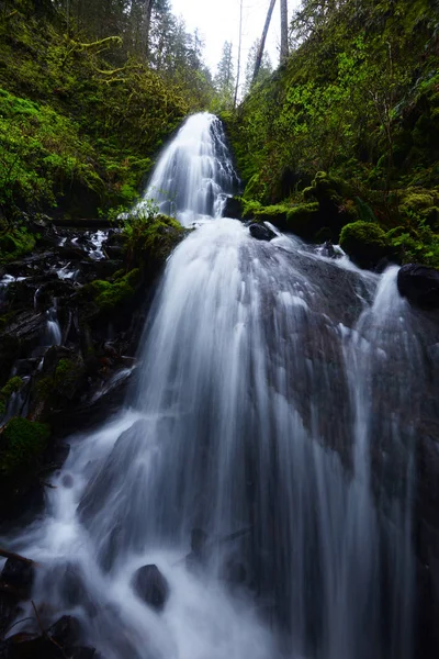 Fee fällt in Columbia Gorge oregon — Stockfoto