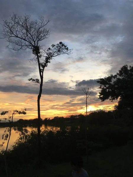 Zonsondergang in natuurpark — Stockfoto