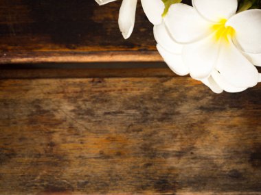 Plumeria çiçek ahşap arka plan üzerinde