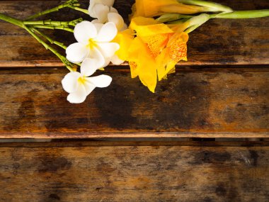 Ahşap zemin üzerine sarı Canna ve Plumeria çiçek