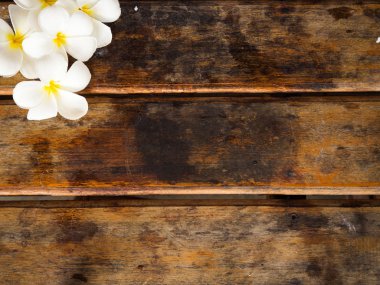 Plumeria çiçek ahşap arka plan üzerinde