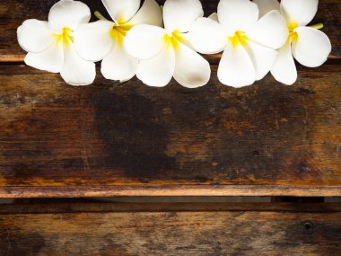 Plumeria çiçek ahşap arka plan üzerinde