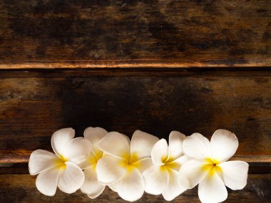 Plumeria çiçek ahşap arka plan üzerinde