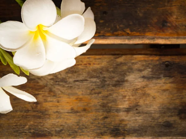 Plumeria çiçek ahşap arka plan üzerinde