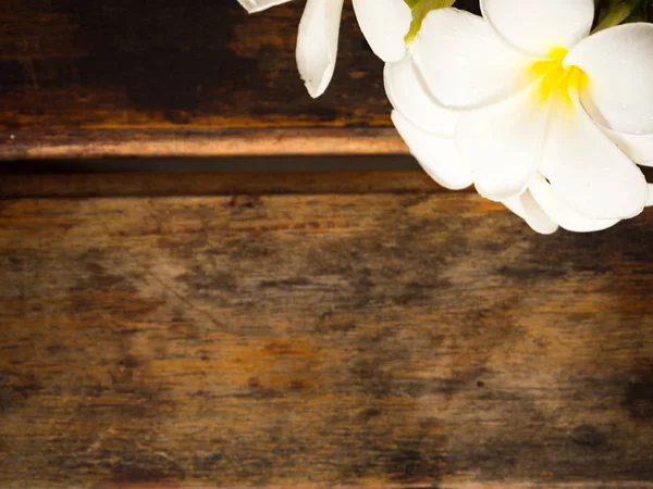 Plumeria çiçek ahşap arka plan üzerinde