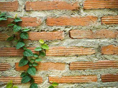 Tuğla duvar arka plan yaprak ile
