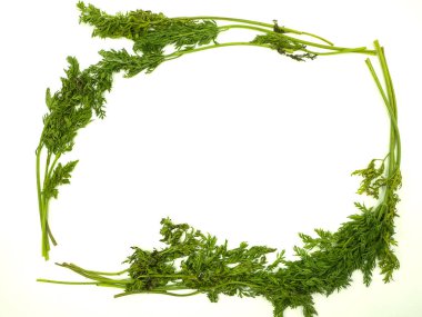 İzole beyaz arka planda bebek havuç