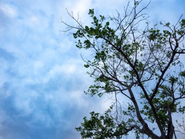 Güzel bulutlu arka plan