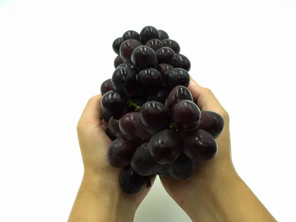 Червоний виноград на ізольованому білому тлі — стокове фото