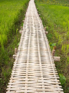 Pirinç alan şekilde yürüyüş