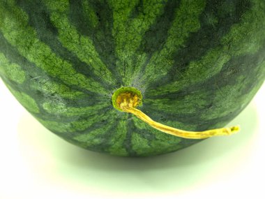 karpuz izole beyaz zemin üzerine