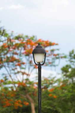 Sokak fener ağacı ile