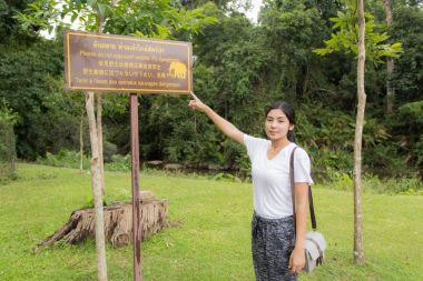 Bilgi panosu topikal ormanda işaret eden kadın
