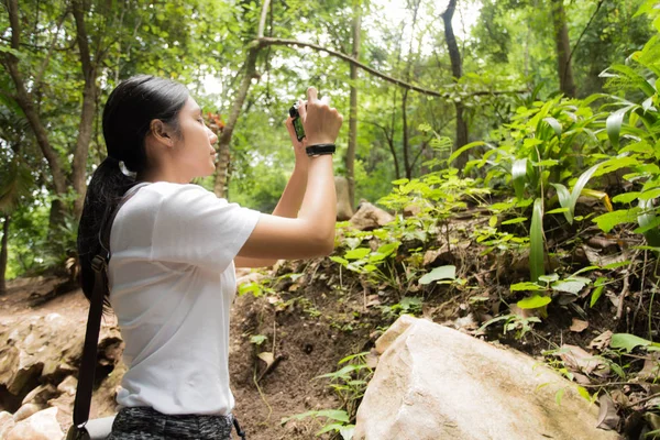 Asyalı kadın sonbahar ormanda fotoğraf çekmek