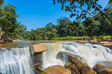 Yeşil dağ orman ormanında güzel şelale