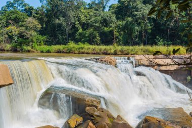 Yeşil dağ orman ormanında güzel şelale