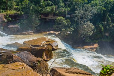 Yeşil dağ orman ormanında güzel şelale