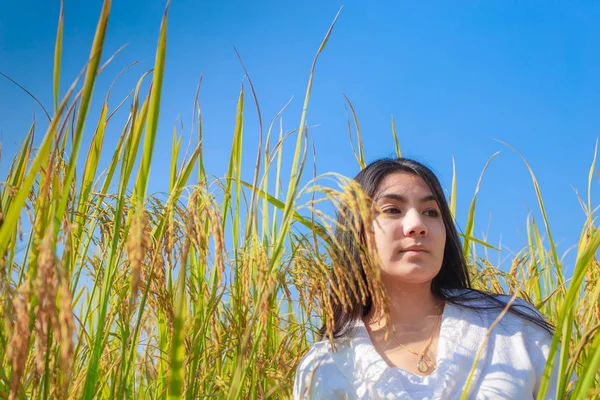Azjatyckie kobiety w zielonych ryżu pola łąka — Zdjęcie stockowe