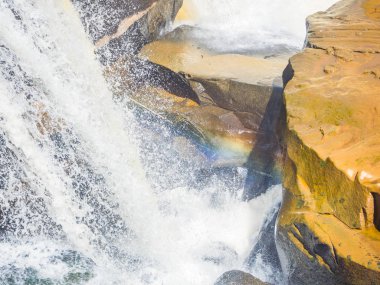 Yeşil dağ orman ormanında güzel şelale