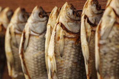 Stockfish arka arkaya bir kabloya tutunuyor. Ev yapımı bira atıştırmalıkları..