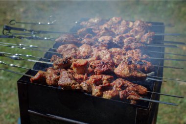 Metal şişte ızgara kebap. Açık hava pikniği..