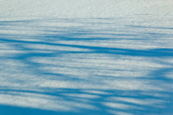 De schaduw van de bomen op een schone en frisse sneeuw. Winter abstracte achtergrond. Glad oppervlak met sprankelende ijskristallen — Stockfoto