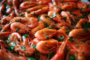 Kişniş ve taze haşlanmış karides. Lezzetli bir deniz ürünü.