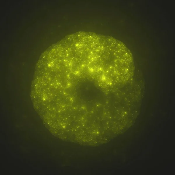 Soyut renkli arkaplan