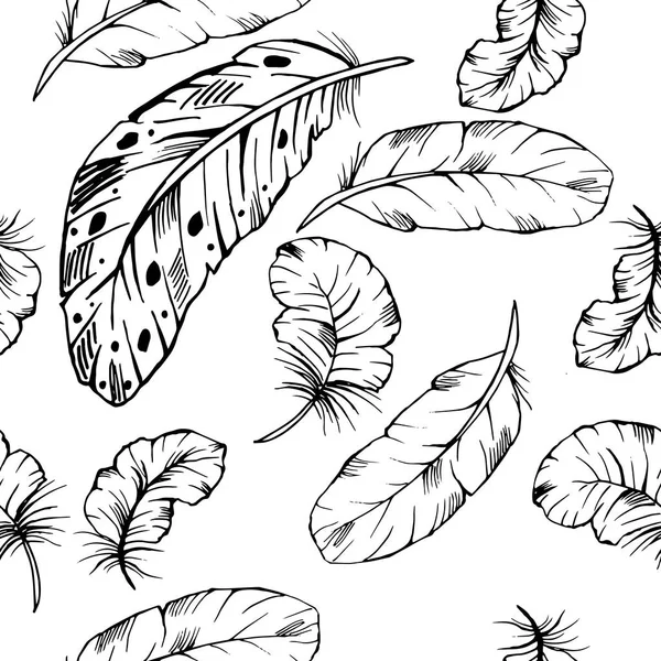 Modèle sans couture de plumes vectorielles dessinées à la main sur fond blanc. Couverture, design imprimé . — Image vectorielle