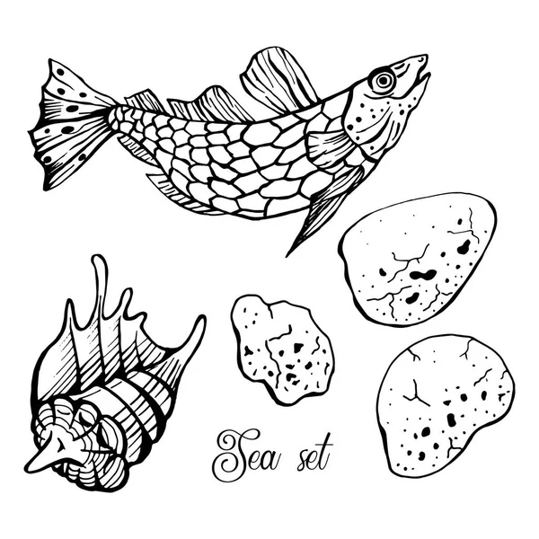 Vektor-Set von Hand gezeichneten Fische, Muscheln und Steinen auf weißem Hintergrund. Abdeckung, print-design. — Stockvektor