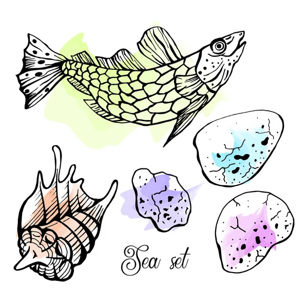 Vector set of hand drawn fish, seashells and stones on watercolor background. Cover, print design. — Stock Vector