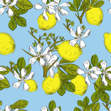 Vektör limon ve çiçek kroki tarzı ile mavi arka plan narenciye seamless modeli çizilmiş. Egzotik koleksiyonu.