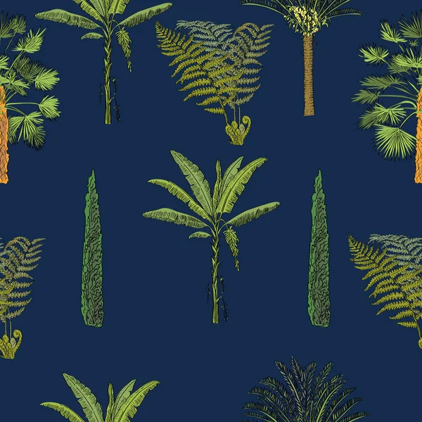 Motif vectoriel dessiné sans couture de palmiers tropicaux et de plantes dans un style croquis. Collection exotique . — Image vectorielle