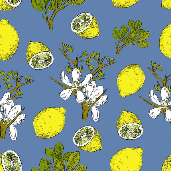 Vektör limon ve çiçek kroki tarzı ile mavi arka plan narenciye seamless modeli çizilmiş. Egzotik koleksiyonu.